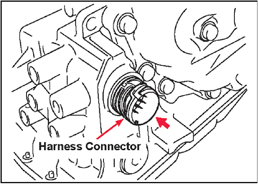 520065657_graphic-text226